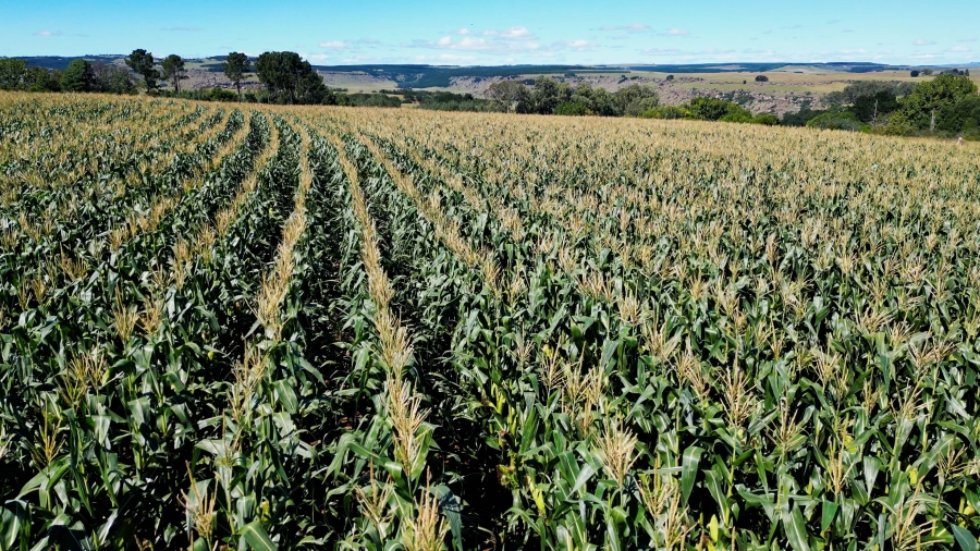 0 Bedroom Property for Sale in Maclear Rural Eastern Cape